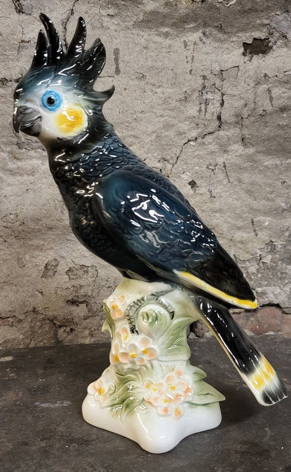 Kakadu schwarz-blau